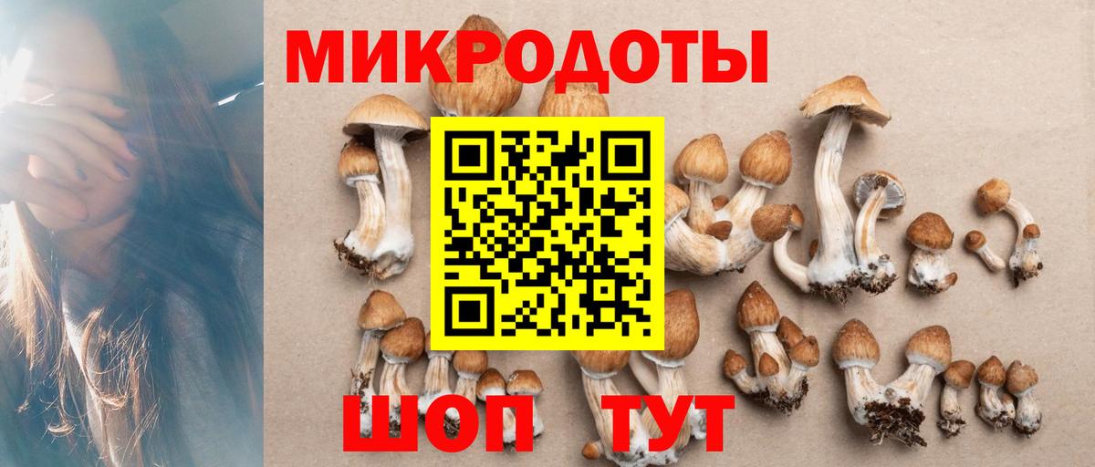 Тихвин  Псилоцибиновые грибы прущие грибы  Вход с VPN 